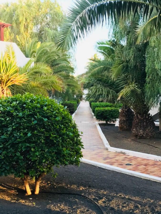 Canela Apartment 405 - Lanzarote Apartment Коста-Тегісе Екстер'єр фото